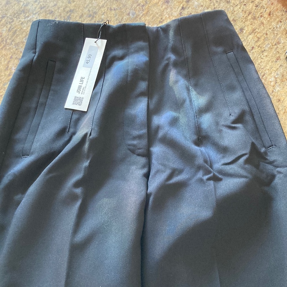 High-waisted, pleated Zara pants